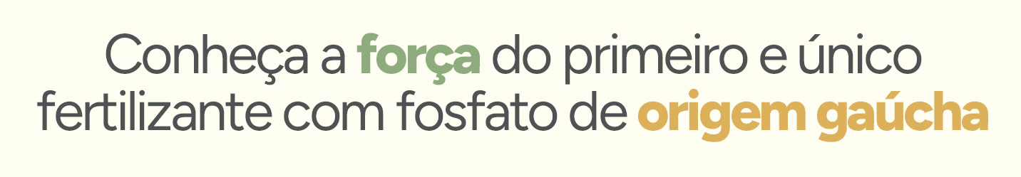 Imagem central