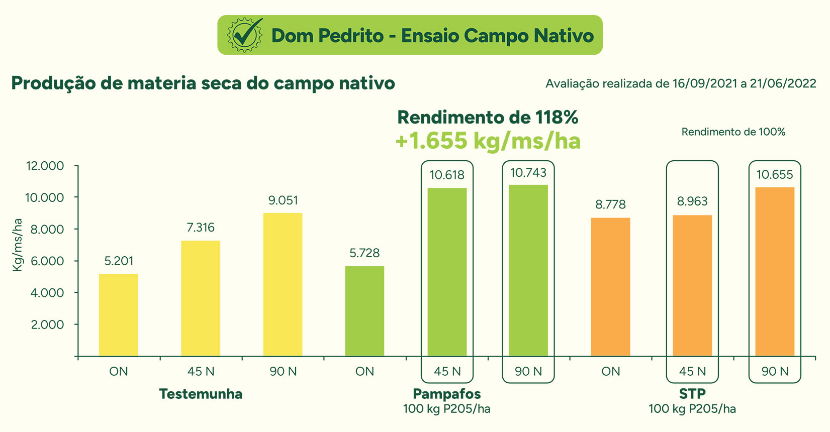Imagem 6